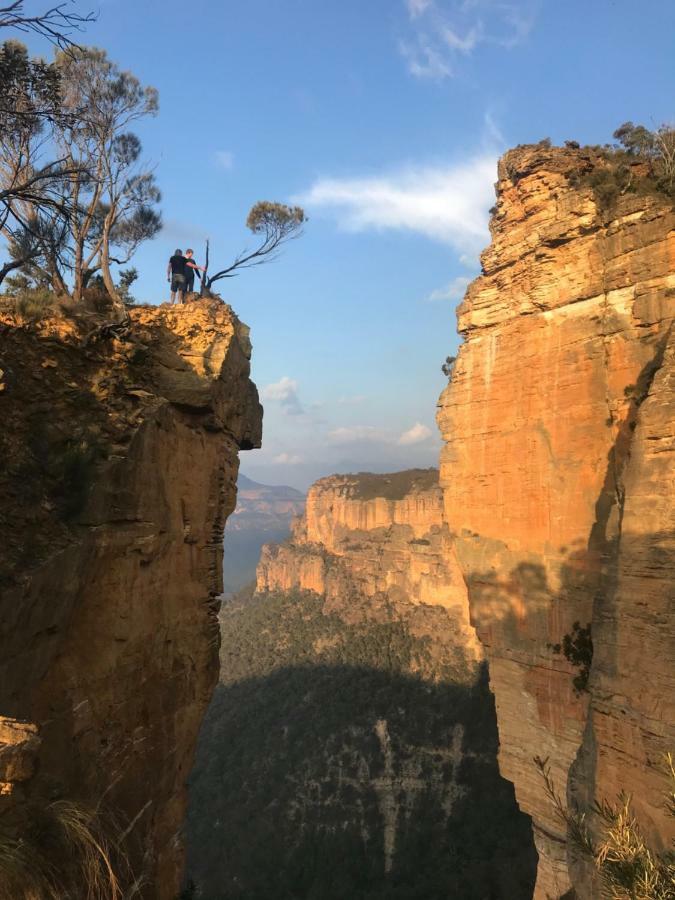 نزل كاتومبافي Flying Fox Backpackers المظهر الخارجي الصورة